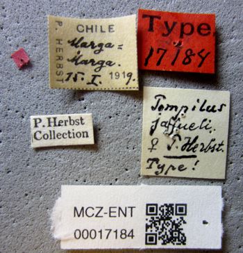 Media type: image;   Entomology 17184 Aspect: labels